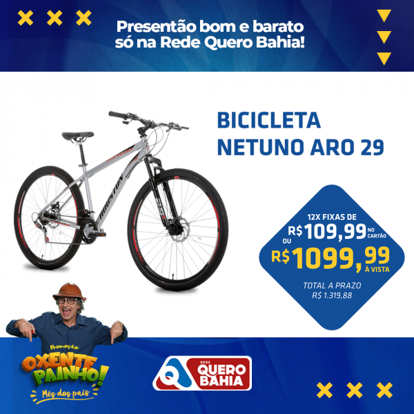 BICICLETA NETUNO ARO 29